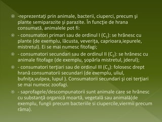  -reprezentaţi prin animale, bacterii, ciuperci, precum şi
plante semiparazite şi parazite. În funcţie de hrana
consumată, animalele pot fi:
 - consumatori primari sau de ordinul I (C1): se hrănesc cu
plante (de exemplu, lăcusta, veveriţa, caprioara,iepurele,
mistretul). Ei se mai numesc fitofagi;
 - consumatori secundari sau de ordinul II (C2): se hrănesc cu
animale fitofage (de exemplu, şopârla mistretul, jderul);
 - consumatori terţiari sau de ordinul III (C3): folosesc drept
hrană consumatorii secundari (de exemplu, uliul,
bufniţa,vulpea, lupul ). Consumatorii secundari şi cei terţiari
se mai numesc zoofagi.
 - saprofagele/descompunatorii sunt animale care se hrănesc
cu substanţă organică moartă, vegetală sau animală(de
exemplu, fungii precum bacteriile si ciupercile,viermii precum
râma).
 