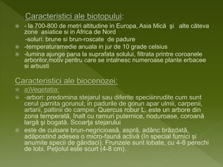  - la 700-800 de metri altitudine in Europa, Asia Mică şi alte câteva
zone asiatice si in Africa de Nord
-soluri: brune si brun-roscate de padure
 -temperaturamedie anuala in jur de 10 grade celsius
 -lumina ajunge pana la suprafata solului, filtrata printre coroanele
arborilor,motiv pentru care se intalnesc numeroase plante erbacee
si arbusti
Caracteristici ale biocenozei:
 a)Vegetatia:
 -arbori: predomina stejarul sau diferite speciiinrudite cum sunt
cerul garnita gorunul; in padurile de gorun apar ulmii, carpenii,
artarii, paltinii de campie. Quercus robur L. este un arbore din
zona temperată, înalt cu ramuri puternice, noduroase, coroană
largă şi bogată. Scoarţa stejarului
 este de culoare brun-negricioasă, aspră, adânc brăzdată,
adăpostind adesea o micro-faună activă (în special furnici şi
anumite specii de gândaci). Frunzele sunt lobate, cu 4-8 perechi
de lobi. Peţiolul este scurt (4-8 cm).
 