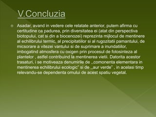  Asadar, avand in vedere cele relatate anterior, putem afirma cu
certitudine ca padurea, prin diversitatea ei (atat din perspectiva
biotopului, cat si din a biocenozei) reprezinta mijlocul de mentinere
al echilibrului termic, al precipitatiilor si al rugozitatii pamantului, de
micsorare a vitezei vantului si de suprimare a inundatiilor,
imbogatind atmosfera cu oxigen prin procesul de fotosinteza al
plantelor , astfel contribuind la mentinerea vietii. Datorita acestor
trasaturi, i se motiveaza denumirile de ,,comonenta elementara in
mentinerea echilibrului ecologic” si de ,,aur verde” , in acelasi timp
relevandu-se dependenta omului de acest spatiu vegetal.
 