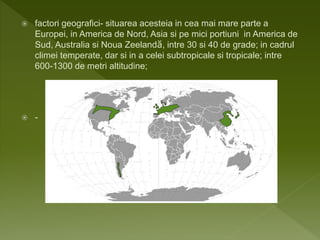  factori geografici- situarea acesteia in cea mai mare parte a
Europei, in America de Nord, Asia si pe mici portiuni in America de
Sud, Australia si Noua Zeelandă, intre 30 si 40 de grade; in cadrul
climei temperate, dar si in a celei subtropicale si tropicale; intre
600-1300 de metri altitudine;
 -
 