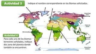 Actividad 3 Indique el nombre correspondiente en los Biomas solicitados.
Actividad 4
Para cada uno de los biomas
terrestres señalados, indique
dos zona del planeta donde
también se encuentren.
