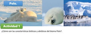 Polo.
¿Cómo son las características bióticas y abióticas del bioma Polo?.
Actividad 1