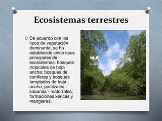 Ecosistemas terrestres 
O De acuerdo con los 
tipos de vegetación 
dominante, se ha 
establecido cinco tipos 
principales de 
ecosistemas: bosques 
tropicales de hoja 
ancha; bosques de 
coníferas y bosques 
templados de hoja 
ancha; pastizales - 
sabanas - matorrales; 
formaciones xéricas y 
manglares. 
 