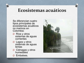 Ecosistemas acuáticos 
Se diferencian cuatro 
tipos principales de 
ecosistemas acuáticos 
no marinos en 
Colombia: 
O Ríos y otros 
sistemas de aguas 
corrientes 
O Lagos y otros 
sistemas de aguas 
lentas 
O Ciénagas y otros 
humedales 
O Embalses. 
 