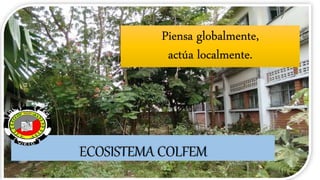 ECOSISTEMA COLFEM
Piensa globalmente,
actúa localmente.
 