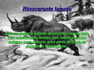 Rinoceronte Conocidos  con el nombre de rinocerontes , son una familia de mamíferos placentarios cerantrofos perteneciente al orden de los perisodáctilos 