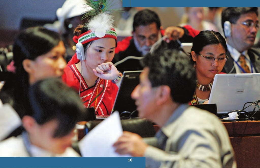Working with ECOSOC An NGOs Guide to Consultative Status