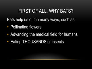 FIRST OF ALL, WHY BATS?
Bats help us out in many ways, such as:
• Pollinating flowers
• Advancing the medical field for humans
• Eating THOUSANDS of insects
 