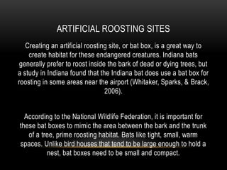 ARTIFICIAL ROOSTING SITES
Creating an artificial roosting site, or bat box, is a great way to
create habitat for these endangered creatures. Indiana bats
generally prefer to roost inside the bark of dead or dying trees, but
a study in Indiana found that the Indiana bat does use a bat box for
roosting in some areas near the airport (Whitaker, Sparks, & Brack,
2006).
According to the National Wildlife Federation, it is important for
these bat boxes to mimic the area between the bark and the trunk
of a tree, prime roosting habitat. Bats like tight, small, warm
spaces. Unlike bird houses that tend to be large enough to hold a
nest, bat boxes need to be small and compact.
 