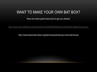 WANT TO MAKE YOUR OWN BAT BOX?
Here are some great resources to get you started:
http://www.nwf.org/How-to-Help/Garden-for-Wildlife/Gardening-Tips/Build-a-Bat-House.aspx
http://www.batconservation.org/bat-houses/build-your-own-bat-house
 