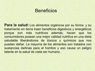 Para la salud:   Los alimentos orgánicos por su forma  y su tratamiento en tierra traen beneficios digestivos y energéticos porque son más nutritivos además, hacen que los consumidores posean una mejor calidad nutritiva en una dieta saludable liberándonos de tóxicos y químicos que nos puedan dañar. La mayoría de los alimentos son tratados con sustancias dañinas para el hombre y eso causa un peligro latente en la salud de cada ser humano. Beneficios 