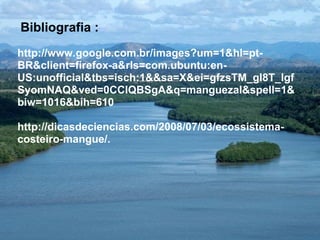   Bibliografia :  http://www.google.com.br/images?um=1&hl=pt-BR&client=firefox-a&rls=com.ubuntu:en-US:unofficial&tbs=isch:1&&sa=X&ei=gfzsTM_gI8T_lgfSyomNAQ&ved=0CCIQBSgA&q=manguezal&spell=1&biw=1016&bih=610 http://dicasdeciencias.com/2008/07/03/ecossistema-costeiro-mangue/. 