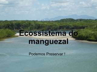 Ecossistema do manguezal Podemos Preservar !  