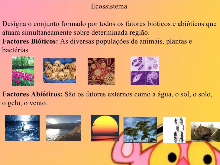 Unitau Sp O Conjunto De Todos Os Ecossistemas Forma
