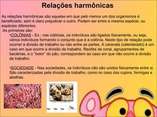 Relações harmônicas   As relações harmônicas são aquelas em que pelo menos um dos organismos é beneficiado, sem é claro prejudicar o outro. Podem ser entre a mesma espécie, ou espécies diferentes. As primeiras são:   COLÔNIAS  - Ex.: nas colônias, os indivíduos são ligados fisicamente, ou seja, vários indivíduos formando o conjunto que é a colônia. Neste tipo de relação pode ocorrer a divisão de trabalho ou não entre as partes. A caravela (celenterado) é um caso em que ocorre a divisão de trabalho. Recifes de coral, agrupamentos de bactérias, e o “bolor” do pão, correspondem ao caso em que não ocorre a divisão de trabalho.   SOCIEDADE  - Nas sociedades, os indivíduos não são unidos fisicamente entre si. São caracterizadas pela divisão de trabalho, como no caso dos cupins, formigas e abelhas.   
