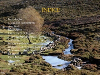 • Introdução
• O que é o Ecossistema
• Ambiente
• Reciclagem
• Cores da Reciclagem
• Tipos de Reciclagem
• Natureza
• Imagens sobre natureza
• Imagens sobre reciclagem
• Processo da Reciclagem
• Os três R
• Conclusão
• Glossário
• Bibliografia
 