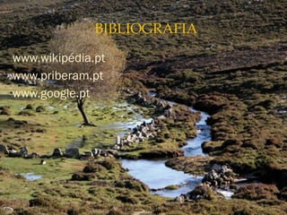 www.wikipédia.pt
www.priberam.pt
www.google.pt
 