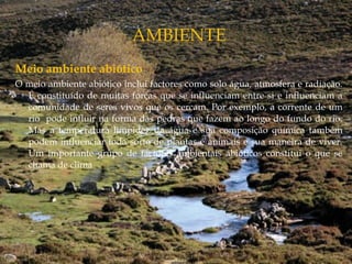 Meio ambiente abiótico
O meio ambiente abiótico inclui factores como solo água, atmosfera e radiação.
É constituído de muitas forças que se influenciam entre si e influenciam a
comunidade de seres vivos que os cercam. Por exemplo, a corrente de um
rio pode influir na forma das pedras que fazem ao longo do fundo do rio.
Mas a temperatura limpidez da água e sua composição química também
podem influenciar toda sorte de plantas e animais e sua maneira de viver.
Um importante grupo de factores ambientais abióticos constitui o que se
chama de clima
 