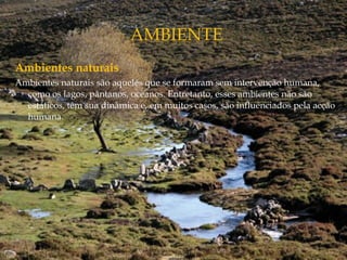 Ambientes naturais
Ambientes naturais são aqueles que se formaram sem intervenção humana,
como os lagos, pântanos, oceanos. Entretanto, esses ambientes não são
estáticos, têm sua dinâmica e, em muitos casos, são influenciados pela acção
humana.
 
