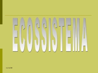 ECOSSISTEMA 