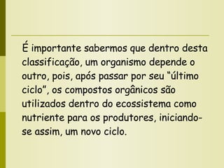 É importante sabermos que dentro desta classificação, um organismo depende o outro, pois, após passar por seu “último ciclo”, os compostos orgânicos são utilizados dentro do ecossistema como nutriente para os produtores, iniciando-se assim, um novo ciclo.  
