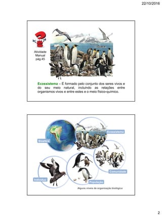 22/10/2016
2
Ecossistema – É formado pelo conjunto dos seres vivos e
do seu meio natural, incluindo as relações entre
organismos vivos e entre estes e o meio físico-químico.
Atividade
Manual
pág.45
Indivíduo
População
Comunidade
Ecossistema
Biosfera
Alguns níveis de organização biológica
 