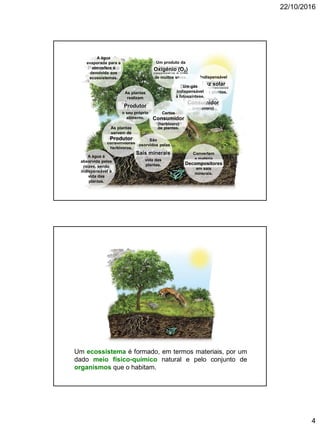 22/10/2016
4
Um produto da
fotossíntese
necessário à vida
de muitos seres.
São
absorvidos pelas
raízes, sendo
indispensáveis à
vida das
plantas.
Precipitação
A água
evaporada para a
atmosfera é
devolvida aos
ecossistemas.
Água (H2O)
A água é
absorvida pelas
raízes, sendo
indispensável à
vida das
plantas.
Sais minerais
Oxigénio (O2)
Indispensável
à realização
da fotossíntese
pelas plantas.
Luz solarDióxido
de carbono
(CO2)
As plantas
realizam
a fotossíntese
e produzem
o seu próprio
alimento.
Produtor
Certos animais
alimentam-se de
outros animais.
Consumidor
(carnívoro)
Certos
animais
alimentam-se
de plantas.
Consumidor
(herbívoro)
Convertem
a matéria
orgânica
em sais
minerais.
Decompositores
As plantas
servem de
alimento aos
consumidores
herbívoros.
Produtor
Um gás
indispensável
à fotossíntese.
Um ecossistema é formado, em termos materiais, por um
dado meio físico-químico natural e pelo conjunto de
organismos que o habitam.
 