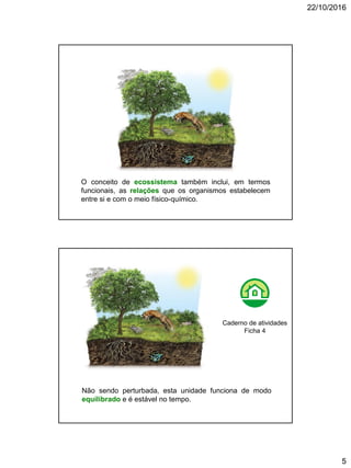 22/10/2016
5
O conceito de ecossistema também inclui, em termos
funcionais, as relações que os organismos estabelecem
entre si e com o meio físico-químico.
Não sendo perturbada, esta unidade funciona de modo
equilibrado e é estável no tempo.
Caderno de atividades
Ficha 4
 