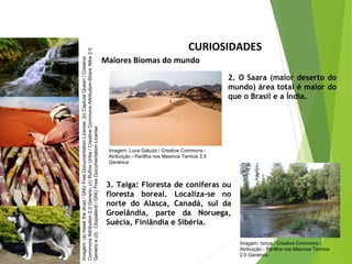 CURIOSIDADES
Maiores Biomas do mundo
2. O Saara (maior deserto do
mundo) área total é maior do
que o Brasil e a Índia.
3. Taiga: Floresta de coníferas ou
floresta boreal. Localiza-se no
norte do Alasca, Canadá, sul da
Groelândia, parte da Noruega,
Suécia, Finlândia e Sibéria.
CIÊNCIAS, 7º Ano do Ensino Fundamental
Nível de organização ecológico: População, Comunidade,
Ecossistema e Biosfera
Imagem:(a)Hawkthedruid/GNUFreeDocumentationLicense;(b)CaptureQueen/Creative
CommonsAttribution2.0Generic;(c)RufinoUribe/CreativeCommonsAttribution-ShareAlike2.0
Generice(d):Utopialand/GNUFreeDocumentationLicense
Imagem: Luca Galuzzi / Creative Commons -
Atribuição - Partilha nos Mesmos Termos 2.5
Genérica
Imagem: borya / Creative Commons -
Atribuição - Partilha nos Mesmos Termos
2.0 Genérica
 