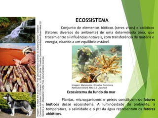 ECOSSISTEMA
Conjunto de elementos bióticos (seres vivos) e abióticos
(fatores diversos do ambiente) de uma determinada área, que
trocam entre si influências notáveis, com transferência de matéria e
energia, visando a um equilíbrio estável.
Ecossistema do fundo do mar
Plantas, microrganismos e peixes constituem os fatores
bióticos desse ecossistema. A luminosidade do ambiente, a
temperatura, a salinidade e o pH da água representam os fatores
abióticos.
CIÊNCIAS, 7º Ano do Ensino Fundamental
Nível de organização ecológico: População, Comunidade,
Ecossistema e Biosfera
Imagem:(a)Hawkthedruid/GNUFreeDocumentationLicense;(b)CaptureQueen/Creative
CommonsAttribution2.0Generic;(c)RufinoUribe/CreativeCommonsAttribution-ShareAlike2.0
Generice(d):Utopialand/GNUFreeDocumentationLicense
Imagem: Marionpinta / Creative Commons
Attribution-Share Alike 3.0 Unported
 