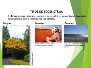 TIPOS DE ECOSSISTEMA
1. Ecossistemas naturais - compreendem todos os ecossistemas formados
naturalmente, sem a intervenção do homem.
CIÊNCIAS, 7º Ano do Ensino Fundamental
Nível de organização ecológico: População, Comunidade,
Ecossistema e Biosfera
Bosques
Imagem:0742MarkMozazWallis/CreativeCommonsAttribution-
ShareAlike2.0Generic
Desertos
Imagem: Capture Queen / Creative
Commons Attribution 2.0 Generic
Oceanos
Imagem: Cusack5239 / Creative
Commons Attribution-Share Alike 3.0
Unported
 
