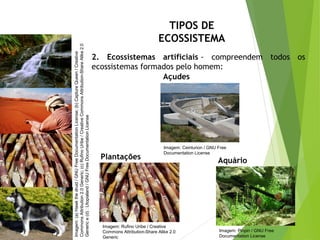 TIPOS DE
ECOSSISTEMA
2. Ecossistemas artificiais - compreendem todos os
ecossistemas formados pelo homem:
CIÊNCIAS, 7º Ano do Ensino Fundamental
Nível de organização ecológico: População, Comunidade,
Ecossistema e Biosfera
Imagem:(a)Hawkthedruid/GNUFreeDocumentationLicense;(b)CaptureQueen/Creative
CommonsAttribution2.0Generic;(c)RufinoUribe/CreativeCommonsAttribution-ShareAlike2.0
Generice(d):Utopialand/GNUFreeDocumentationLicense
Plantações
Açudes
Imagem: Rufino Uribe / Creative
Commons Attribution-Share Alike 2.0
Generic
Imagem: Ceinturion / GNU Free
Documentation License
Aquário
Imagem: Pinpin / GNU Free
Documentation License
 