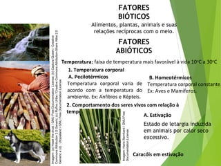 FATORES
BIÓTICOS
FATORES
ABIÓTICOS
Alimentos, plantas, animais e suas
relações recíprocas com o meio.
Temperatura: faixa de temperatura mais favorável à vida 10o
C a 30o
C
1. Temperatura corporal
A. Pecilotérmicos
Temperatura corporal varia de
acordo com a temperatura do
ambiente. Ex: Anfíbios e Répteis.
B. Homeotérmicos
Temperatura corporal constante.
Ex: Aves e Mamíferos.
2. Comportamento dos seres vivos com relação à
temperatura
Caracóis em estivação
Estado de letargia induzida
em animais por calor seco
excessivo. 
A. Estivação
Nível de organização ecológico: População, Comunidade,
Ecossistema e Biosfera
Imagem:(a)Hawkthedruid/GNUFreeDocumentationLicense;(b)CaptureQueen/Creative
CommonsAttribution2.0Generic;(c)RufinoUribe/CreativeCommonsAttribution-ShareAlike2.0
Generice(d):Utopialand/GNUFreeDocumentationLicense
Imagem:HansBernhard/GNUFree
DocumentationLicense
 