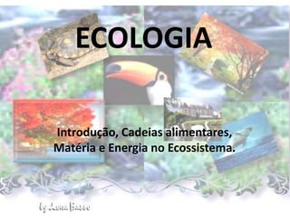ECOLOGIA
Introdução, Cadeias alimentares,
Matéria e Energia no Ecossistema.
 