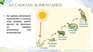 AS CADEIAS ALIMENTARES
• As cadeias alimentares
representam a maneira
mais simples, porém
parcial, de descrever
as relações
alimentares nos
ecossistemas.
 