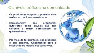 Os níveis tróficos na comunidade
○ Os produtores ocupam o primeiro nível
trófico em qualquer ecossistema.
○ Correspondem aos organismos
autótrofos, como aqueles que têm
clorofila e fazem Fotossíntese ou
quimiossíntese.
○ Por meio da fotossíntese, elas produzem
o gás oxigênio, fundamental para a
respiração da maioria dos seres vivos.
 
