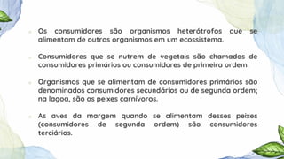○ Os consumidores são organismos heterótrofos que se
alimentam de outros organismos em um ecossistema.
○ Consumidores que se nutrem de vegetais são chamados de
consumidores primários ou consumidores de primeira ordem.
○ Organismos que se alimentam de consumidores primários são
denominados consumidores secundários ou de segunda ordem;
na lagoa, são os peixes carnívoros.
○ As aves da margem quando se alimentam desses peixes
(consumidores de segunda ordem) são consumidores
terciários.
 
