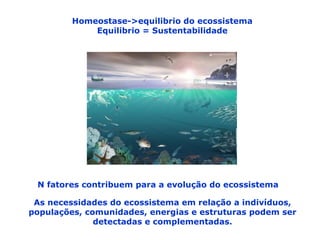 Homeostase->equilibrio do ecossistema Equilibrio = Sustentabilidade N fatores contribuem para a evolução do ecossistema As necessidades do ecossistema em relação a indivíduos, populações, comunidades, energias e estruturas podem ser detectadas e complementadas.