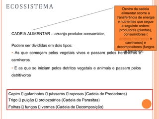 ECOSSISTEMA
CADEIA ALIMENTAR – arranjo produtor-consumidor.
Podem ser divididas em dois tipos:
• As que começam pelos vegetais vivos e passam pelos herbívoros e
carnívoros
• E as que se iniciam pelos detritos vegetais e animais e passam pelos
detritívoros
Capim gafanhotos pássaros raposas (Cadeia de Predadores)
Trigo pulgão protozoários (Cadeia de Parasitas)
Folhas fungos vermes (Cadeia de Decomposição)
Dentro da cadeia
alimentar ocorre a
transferência de energia
e nutrientes que segue
a seguinte ordem:
produtores (plantas),
consumidores (
animais herbívoros e
carnívoros) e
decompositores (fungos
e bactérias).
 