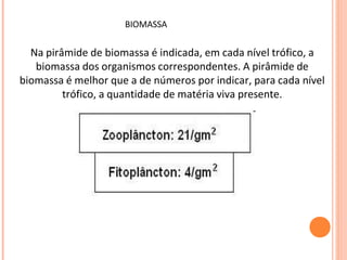 Na pirâmide de biomassa é indicada, em cada nível trófico, a
biomassa dos organismos correspondentes. A pirâmide de
biomassa é melhor que a de números por indicar, para cada nível
trófico, a quantidade de matéria viva presente.
BIOMASSA
 