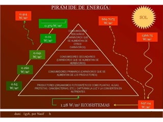 PIRAM IDE DE ENERGIA
DETŒTIVOROS
Qc mydunio 1gy8, por Nasif Nah S
OC OS
 