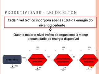 PRODUTIVIDADE - LEI DE ELTON
Cada nível trófico incorpora apenas 10% da energia do
nível precedente
Quanto maior o nível trófico do organismo menor
a quantidade de energia disponível
Consumidores
primários
Produtores Consumidores
secundários
Consumidores
terciários
1000
10
100
10% 10% 10%
900 90 9
9000
 
