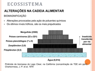 ECOSSISTEMA
ALTERAÇÕES NA CADEIA ALIMENTAR
BIOMAGNIFICAÇÃO
•
•
Alterações provocadas pela ação de poluentes químicos
Os últimos níveis tróficos, são os mais prejudicados
Mergulhão (2500)
Peixes carnívoros (22 a 221)
Peixes planctófagos (7 a 9)
Zooplâncton (3,0)
Fitoplâncton (0,5)
Inseticida
transferido
por via
alimentar
Água (0,014)
Pirâmide de biomassa do Lago Clear, na Califórnia (concentração de TDE em ppm)
Charbonneau, J. P. et al, 1979
 