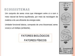 ECOSSISTEMAS
Um conjunto de seres vivos que interagem entre si e com o
meio natural de forma equilibrada, por meio da reciclagem de
matéria e do uso eficiente de energia solar.
Unidade funcional básica, composta de uma biocenose( seres
vivos) e um biótipo (ambiente).
FATORES BIOLÓGICOS
FATORES FÍSICOS
Espécie
População
Comunidade
Ecossistema
 