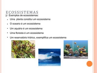 ECOSSISTEMAS
❑ Exemplos de ecossistemas:
•
•
•
•
•
Uma planta constitui um ecossistema
O oceano é um ecossistema
Um aquário é um ecossistema
Uma floresta é um ecossistema
Um reservatório hídrico, exemplifica um ecossistema
 