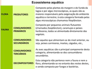 FLORA
Composto pelas plantas da margem e do fundo da
lagoa e por algas microscópicas, as quais são as
maiores responsáveis pela oxigenação do ambiente
aquático e terrestre; à esta categoria formada pelas
FAUNA
algas microscópicas chamamos fitoplâncton.
Composto por pequenos animais flutuantes
(chamados Zooplâncton), caramujos e peixes
herbívoros, todos se alimentado diretamente dos
vegetais.
São aqueles que alimentam-se do nível anterior, ou
seja, peixes carnívoros, insetos, cágados, etc.,
As aves aquáticas são o principal componente desta
PRODUTORES
CONSUMIDORES
PRIMÁRIOS
CONSUMIDORES
SECUNDÁRIOS
CONSUMIDORES
TERCIÁRIOS
DECOMPOSITORES
categoria, alimentando-se dos consumidores
secundários.
Esta categoria não pertence nem a fauna e nem a
flora, alimentando-se no entanto dos restos destes,
e sendo composta por fungos e bactérias.
Ecossistema aquático
 