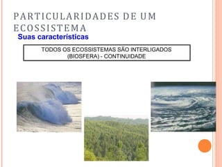 PARTICULARIDADES DE UM
ECOSSISTEMA
Suas características
TODOS OS ECOSSISTEMAS SÃO INTERLIGADOS
(BIOSFERA) - CONTINUIDADE
 