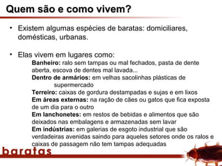 Quem são e como vivem?
• Existem algumas espécies de baratas: domiciliares,
  domésticas, urbanas.

• Elas vivem em lugares como:
      Banheiro: ralo sem tampas ou mal fechados, pasta de dente
      aberta, escova de dentes mal lavada...
      Dentro de armários: em velhas sacolinhas plásticas de
              supermercado
      Terreiro: caixas de gordura destampadas e sujas e em lixos
      Em áreas externas: na ração de cães ou gatos que fica exposta
      de um dia para o outro
      Em lanchonetes: em restos de bebidas e alimentos que são
      deixados nas embalagens e armazenadas sem lavar
      Em indústrias: em galerias de esgoto industrial que são
      verdadeiras avenidas saindo para aqueles setores onde os ralos e
      caixas de passagem não tem tampas adequadas
 