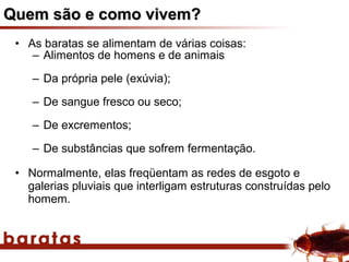 Quem são e como vivem?
 • As baratas se alimentam de várias coisas:
    – Alimentos de homens e de animais

    – Da própria pele (exúvia);

    – De sangue fresco ou seco;

    – De excrementos;

    – De substâncias que sofrem fermentação.

 • Normalmente, elas freqüentam as redes de esgoto e
   galerias pluviais que interligam estruturas construídas pelo
   homem.
 