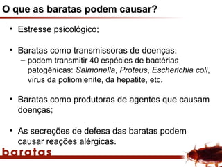 O que as baratas podem causar?
 • Estresse psicológico;

 • Baratas como transmissoras de doenças:
   – podem transmitir 40 espécies de bactérias
     patogênicas: Salmonella, Proteus, Escherichia coli,
     vírus da poliomienite, da hepatite, etc.

 • Baratas como produtoras de agentes que causam
   doenças;

 • As secreções de defesa das baratas podem
   causar reações alérgicas.
 